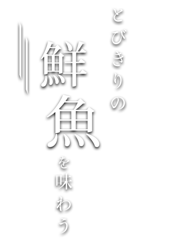 鮮魚を味わう