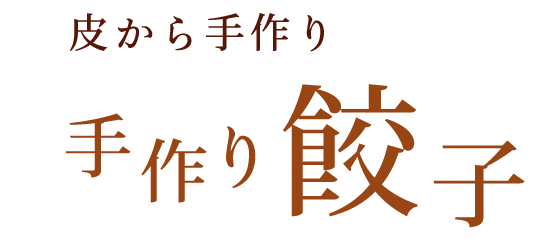 手作り餃子(5個)